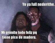 yo v8.1 ,prros.jpg