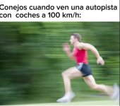 Gotta go fast ,prros.jpg