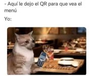 QR mimm ,prros.jpg
