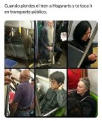 En metro a Hogwarts ,prros.jpg