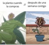 Literalmente ,vieja v2.jpg