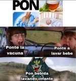 No c , prros.jpg