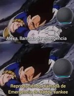 Ven y sana mi dolorr ,prros.jpg