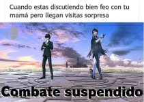 Combate suspendido.jpeg