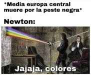 Grande Newton ,prros.jpg