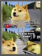 he morro que hora traes v 1.1.3 prros .jpg