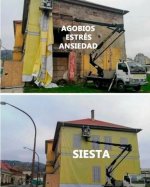 1 buena siesta ,lo arregla todo prros.jpg