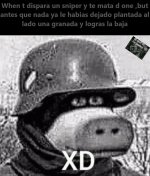 Ci prros.jpg