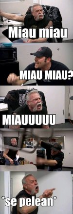 Pov, cuando tratas de dormir , los gatos ser como prros.jpg