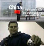 PANDA ,prros.jpg