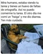recién horneado ,prros.jpeg