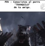 POV ,Conocistes al perro tarnquilo de tu amigo.jpg