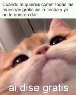 ai dise gratis.jpeg