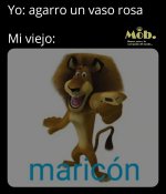 vaso rosa xdxd.jpeg