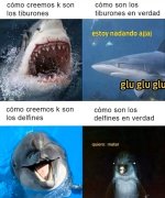 Delfin y tiburon xd.jpg