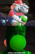 Estoy cansado jefe v yoshi ,prros.jpg