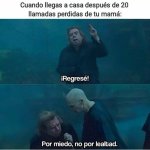 regrese x v 1.1.2 ,prros.jpg