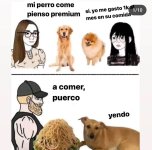 Perro que encontré en la calle y es lo mejor del mundo ,prros.jpg