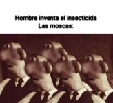 las moscas xdxd.jpeg