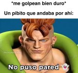 No púso pared.jpg