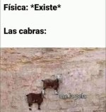 las abras no siguen las leyes de la física ,prros.jpg