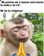 AMEN ,prros.jpg