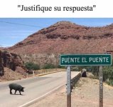 justificar respuesta ,ser como prros.jpg