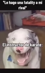 Instructor de Karate ,sorprendido ser como prros.jpg