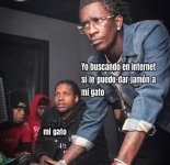 seguro que le gustara el jamon ,prros.jpg