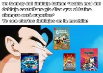 Tal vez cuernavaca los haga reflexionar ,prros.jpg