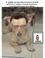 La cara del CSM del autor v 1.1.3 con marca .png