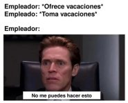 Mimm d vacaciones ,prros.jpg
