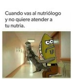Nutriologo ,prros.jpg