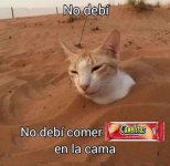 No debi ,prros v 1.1.2.jpg