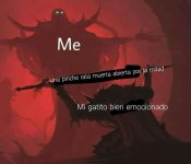 mi gato bien emocionado.jpeg