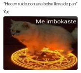 soyese prros.jpg