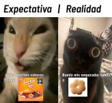 expectativa vs realidad xdxd.jpg