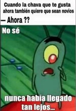 A veces pasa ,prros v2.jpg