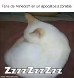 fans de maicra ,ser como prros v 2.1.2.jpg
