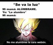WBN ,prros.jpg
