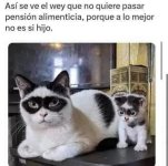 que buena sikin prros.jpg