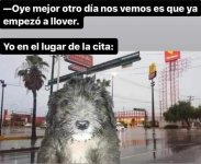 Mimm d citas xdxd.jpg