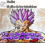 Zy prros.jpg