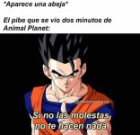 ta bien xdxd.jpg