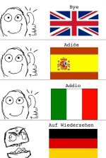 Mimm bilingue ,ser como prros.jpg