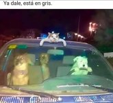 Pisale a fondo ,que esta en gris ,prros.jpg