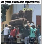 Sillon asustado ,prros.jpg
