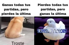 Cierto cierto v5.jpg