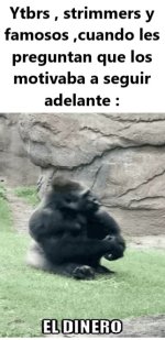 El motivo es EL DINERO ,prros .jpg