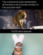 Los humanos todo lo que tocan lo Joden ,prros ,sin excepciones xdxd.jpg